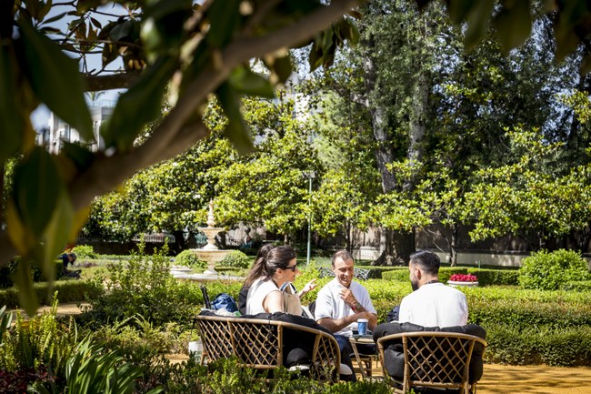 Mesa de trabajo al aire libre entre árboles frondosos