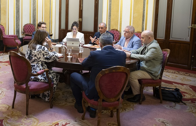 Mesa de la reunión del Tercer Sector con la presidenta del Congreso 