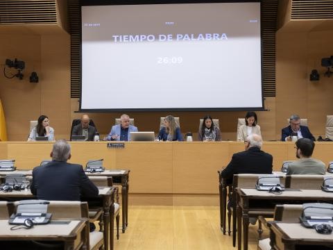 Susías durante su comparecencia en el Congreso