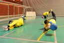 Goalball 4