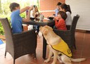 Socialización 5