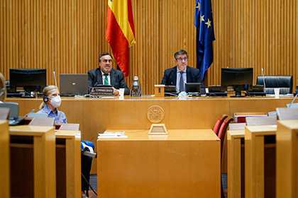 Carballeda durante su intervención en el Congreso