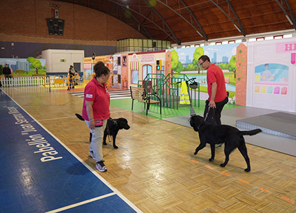 Nuria García y Rafael Alameda, instructores de movilidad con perro guía