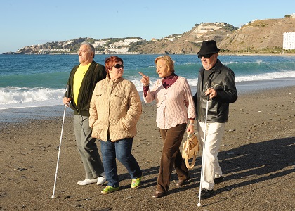 Grupo de usuarios disfrutando de la playa