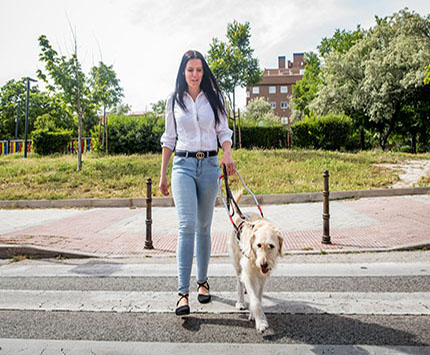 Usuaria de perro guía cruzando una calle