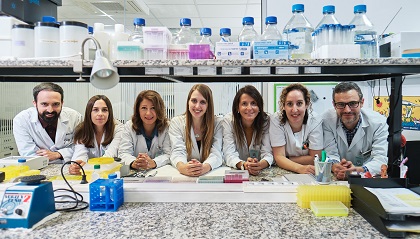 Equipo investigación IMOMA