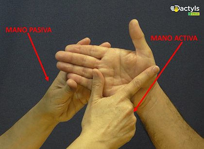 Una imagen de Dactyls con dos manos interactuando