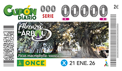 Cupón de la ONCE dedicado a los Ficus Macrophylla de Valencia