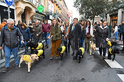 Perros guía participan en las Vueltas de San Antón