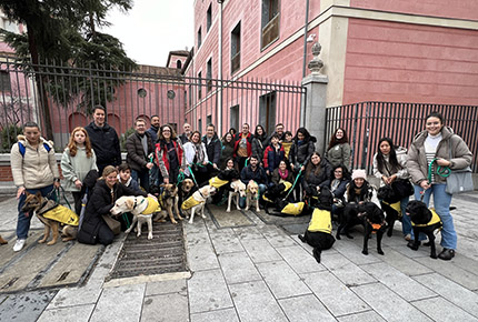 Foto de familia de los perros guía de la ONCE junto a sus educadores