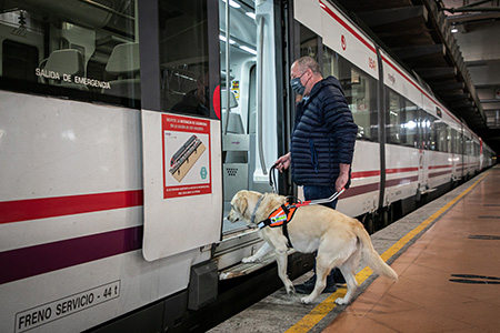 Usuario de perro guía accediendo al tren