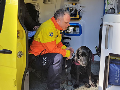 Perro Guía con el nuevo sistema de retención en ambulancias